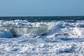 Bruisend von Pieter Heres