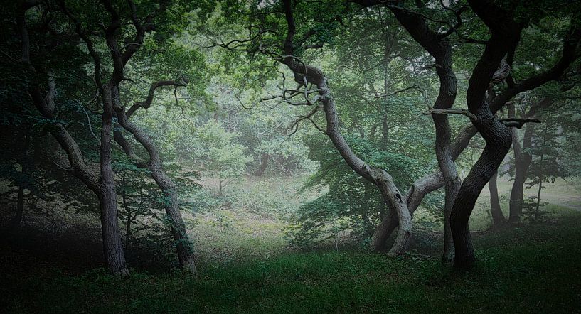 oak tree painting in the mist by peterheinspictures