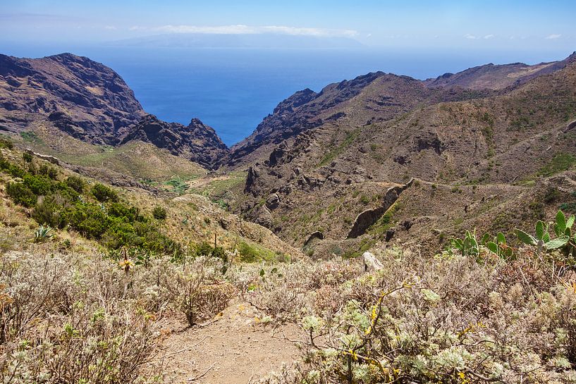 Landschaft auf der Kanarischen Insel Teneriffa von Rico Ködder