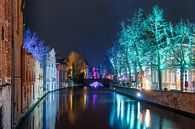 Groenerei in Brugge tijdens Wintergloed 2023 van Daan Duvillier | Dsquared Photography thumbnail