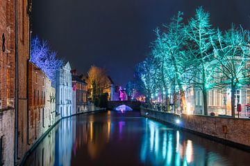 Groenerei à Bruges pendant Winter Glow 2023 sur Daan Duvillier | Dsquared Photography