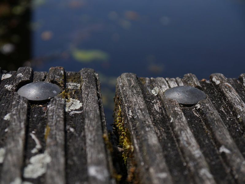 close wood van Marloes Vissers-Schurman