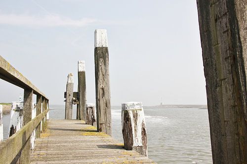 Texel Zeezicht 017