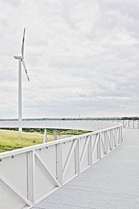 Skywalk II