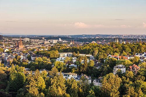 Blick vom Neroberg auf Wiesbaden in Hessen von Werner Dieterich