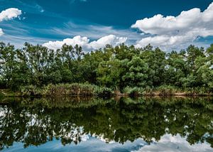 Color landscape photography