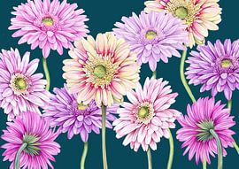 Joie de fleurir Gerberas en été sur Geertje Burgers