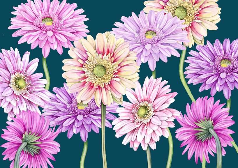 Flower joy Gerberas in summer by Geertje Burgers