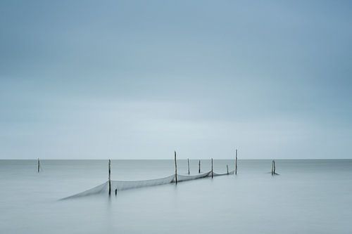 Visnetten in het water van Sigrid Westerbaan