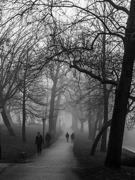 Utrecht In The Mist by Mr White Takes Pictures