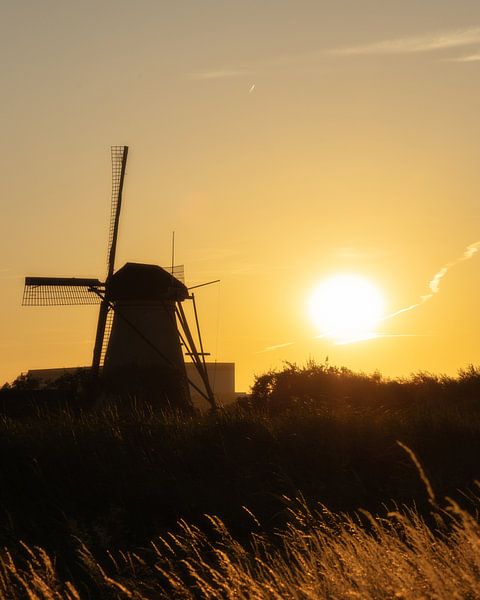 Moulin de Kinderdijk jaune soleil couchant par Zwoele Plaatjes