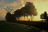 The lone cyclist