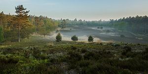 Brume matinale sur le Reeënberg