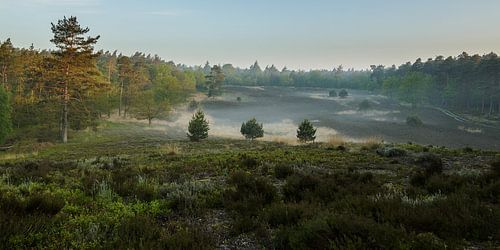 Morning mist on the Reeënberg