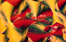 Koffiezuur by André Wieringa