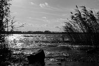 Biesbosch Zuidhaven