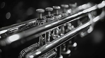 Muziekinstrument in zwart-wit