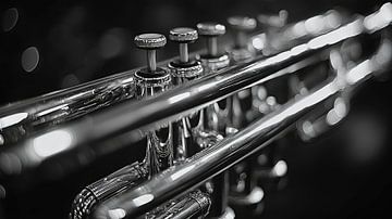 Muziekinstrument in zwart-wit van Gelissen Artworks