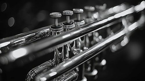 Muziekinstrument in zwart-wit