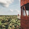 Uitkijktoren De Bosbergtoren in Appelscha, Friesland van Expeditie Aardbol
