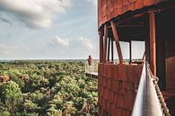 Uitkijktoren De Bosbergtoren in Appelscha, Friesland van Expeditie Aardbol thumbnail