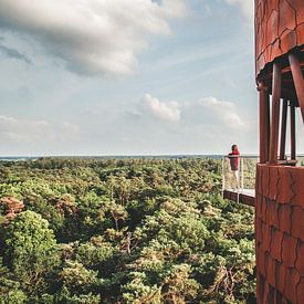 Watchtower De Bosberg tower in Appelscha, Friesland by Expeditie Aardbol