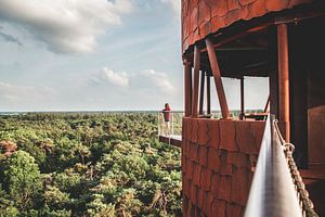 Uitkijktoren De Bosbergtoren in Appelscha, Friesland van Expeditie Aardbol