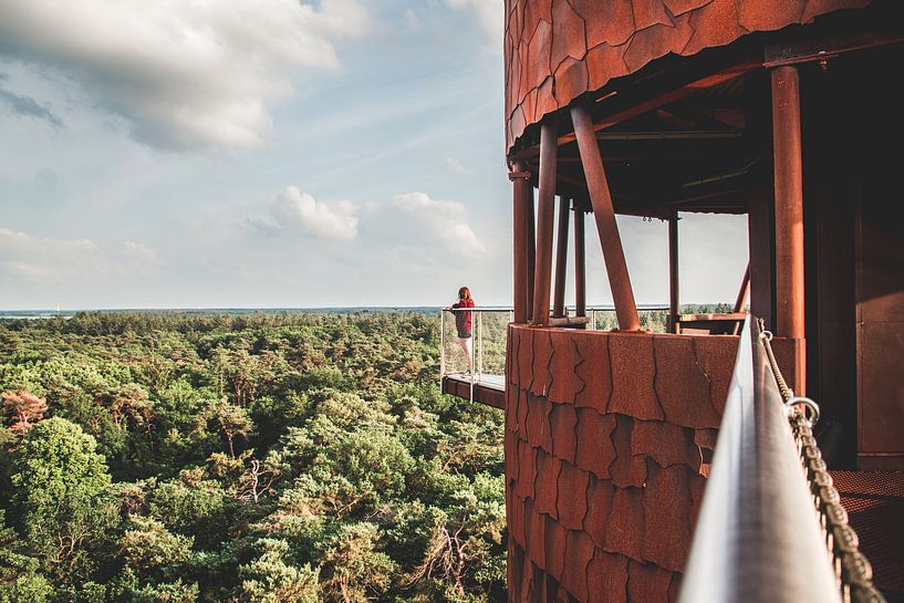 Tour de guet De Bosberg à Appelscha, en Frise par Expeditie Aardbol