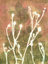 Wit silhouet van bloeiende plant in tuin van Lida Bruinen thumbnail
