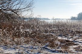 Die Elbe bei Magdeburg (Sachsen-Anhalt) im Winter von t.ART