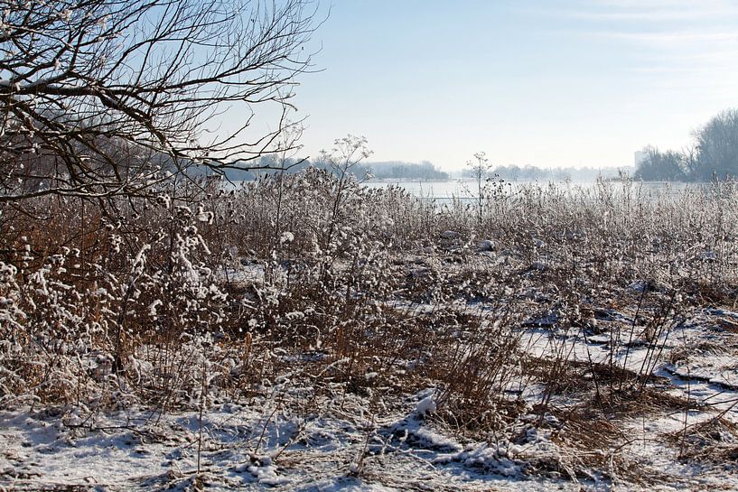 L'Elbe près de Magdebourg (Saxe-Anhalt) en hiver par t.ART