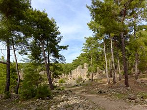 Die antike Stadt Lyrbe in der Türkei