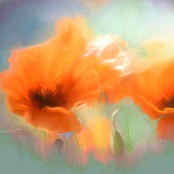 Soft Poppy van Andreas Wemmje