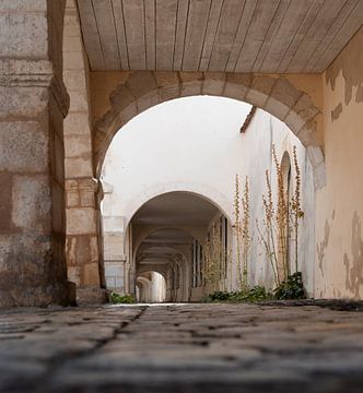 Allee in Frankreich von Bopper Balten