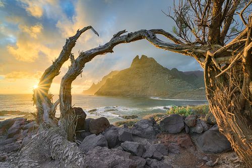 Teneriffa Punta del Hidalgo