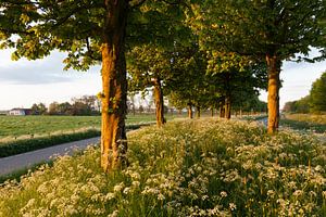 Tussen stad en ommeland