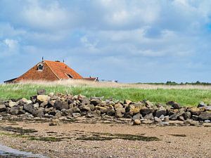 Die Kaischeune Terschelling
