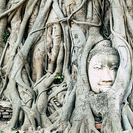 Buddha en Thailand (Ayutthaya) sur Wendy Duchain