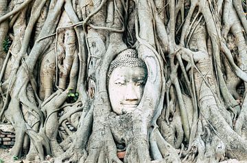 Buddha in Thailand (Ayutthaya) van Wendy Duchain