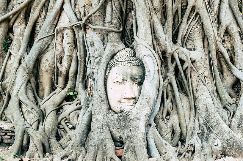Buddha en Thailand (Ayutthaya) par Wendy Duchain