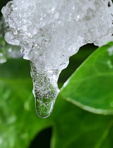 Icicle