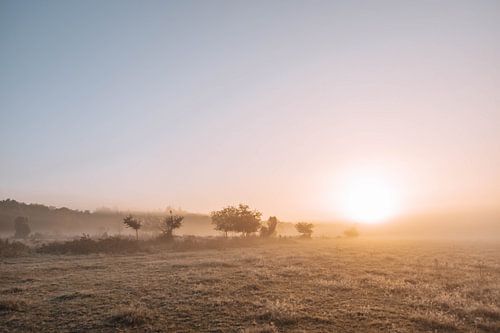Zonsopkomst in Drenthe - NP Drentsche Aa - pastel kleuren