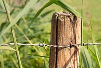 Fence