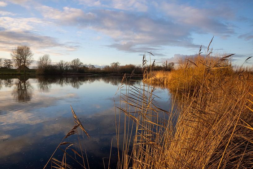 The reflection of light by Rik Brussel
