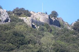 Château de Banne by Patrick van beek76