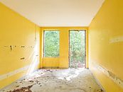 yellow walls von Michael Schulz-Dostal Miniaturansicht