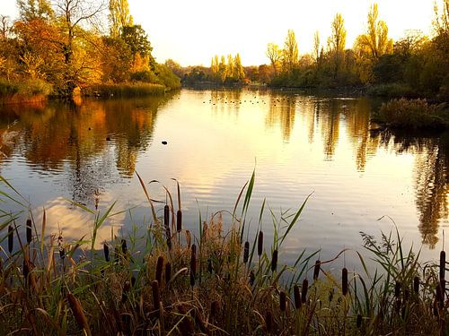 Vijver in Hydepark, Londen.