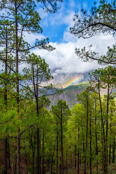 Landschaft mit einem Regenbogen, Wald, Bergen und tief hängenden Wolken. von Lidewij Olive