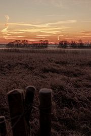 Sonnenaufgang auf einer Wiese in Nordholland von Melanie (Flashpacker)