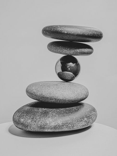 The Balance of Nature and Form by Fine Art Flower - Artist Sander van Laar
